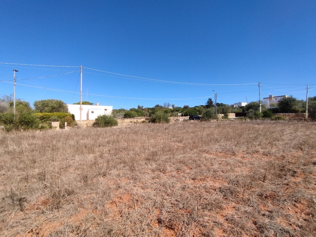 Giano Group Immobiliare